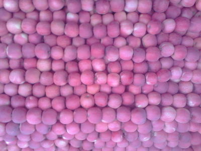 静宁金色园 源自中国有机苹果基地的“三无”臻品