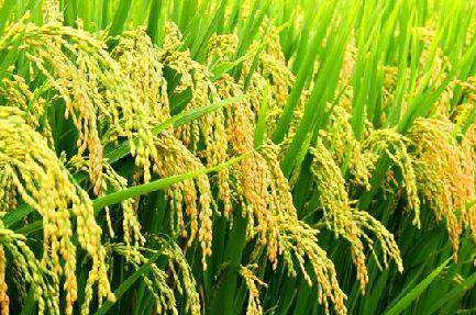 好产品，溯源码诉说；高品质，细节中彰显