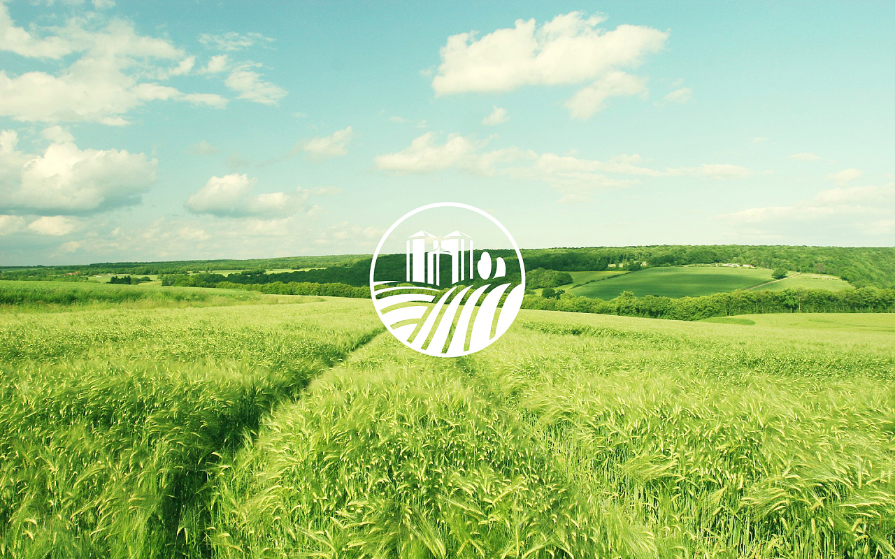 我出没熊注意——探索绿色食品企业的LOGO设计理念