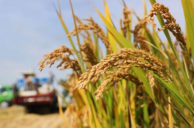 江苏南通 财政金融协同支农，省内首创农担贴息政策