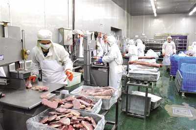 丰都构建“三大体系”打通发展瓶颈，以“三步走”探索食品及农产品加工高质量发展新路径